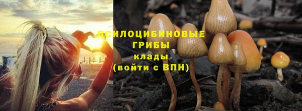 ГАЛЛЮЦИНОГЕННЫЕ ГРИБЫ Покровск
