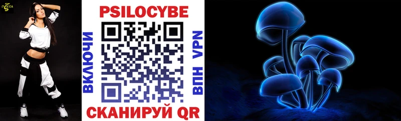 Купить  Новомичуринск  Псилоцибиновые грибы GOLDEN TEACHER 