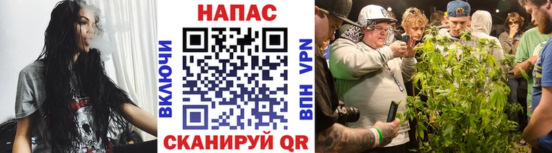 Купить  Новомичуринск  Шишки марихуана White Widow 